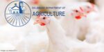 DDA Cancels Poultry-related Sessions During DE Ag Week