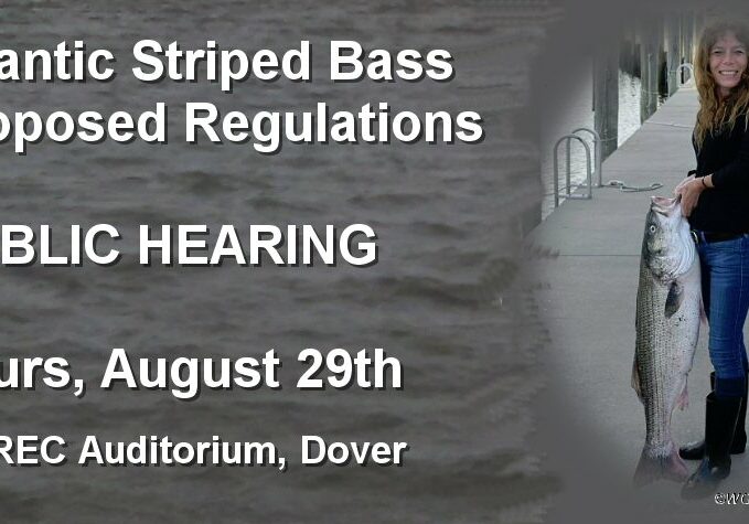 08-29-19-Striper-PublicHearing