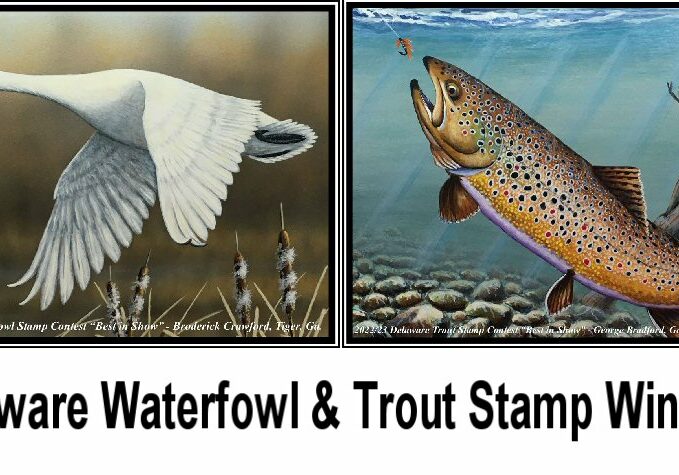 2022 DE Waterfowl-TroutStampWinners