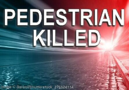 2025 Pedestrian Killed-Barbol-Shutterstock_276524114