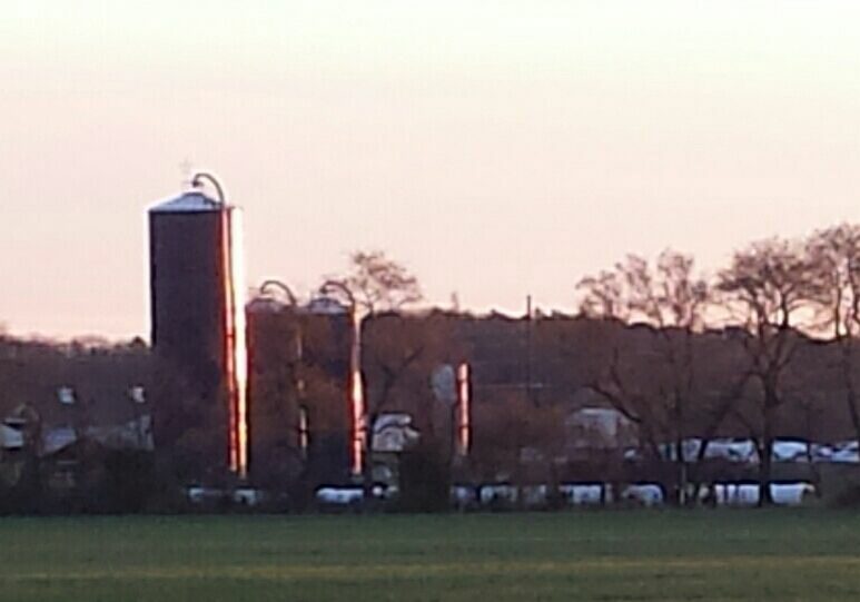 Alec Martin - Hopkins Dairy Farm west of Lewes