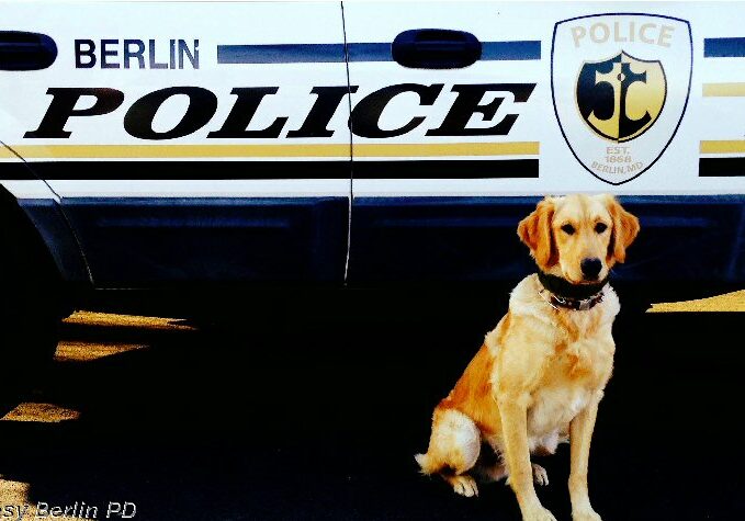 BerlinPD-K9Dock 2