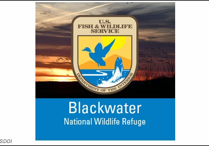 BlackwaterNWR-Logo