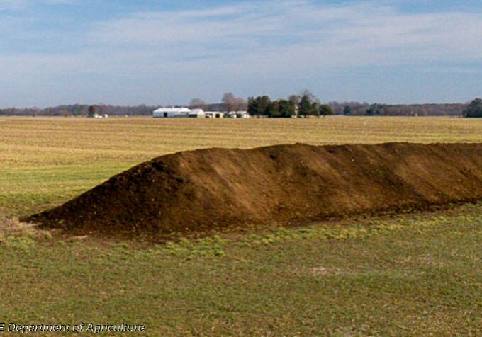 Field staged poultry litter: To be properly staged, litter must be stacked in six-foot tall “windrows” or pyramids so that the cross-section of the pile is a triangle, ensuring that any rainwater is shed from the pile but does not pool or infiltrate it.