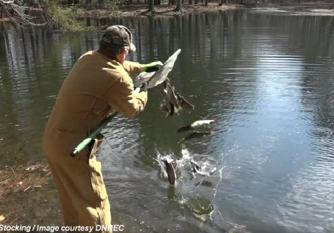 DNREC - Downstate Trout Stocking