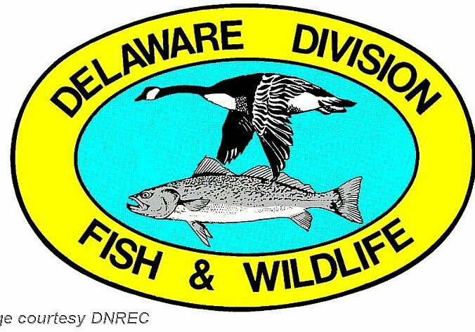 dnred-fish-wildlife