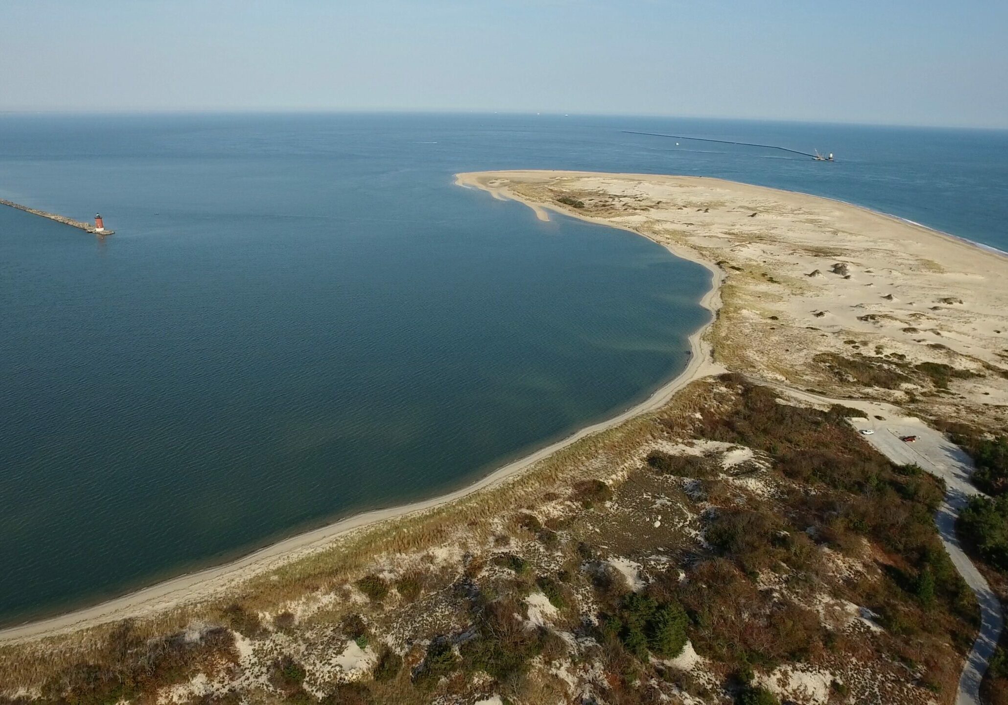 DNREC Reminds Public That The Point at Cape Henlopen is Closed for 2021 Beach Nesting Season