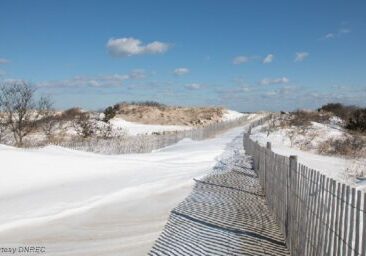 DNREC - Snow on Dunes