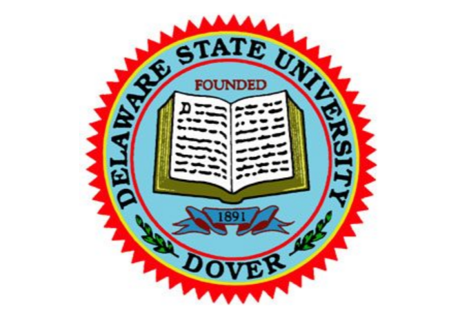 DSU logo