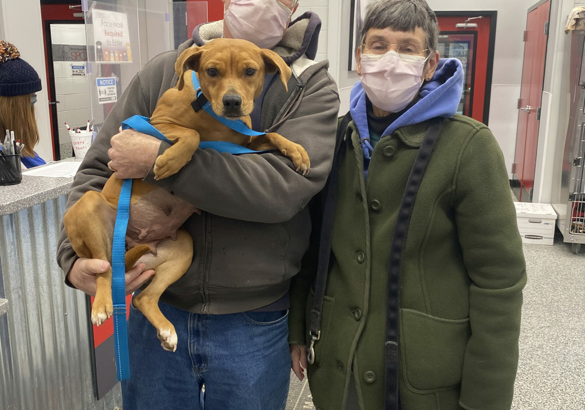 Rehoboth Beach Mayor Stan Mills and his wife Marcia Maldeis pose with Minnie, their shelter dog. Photo courtesy of Brandywine Valley SPCA