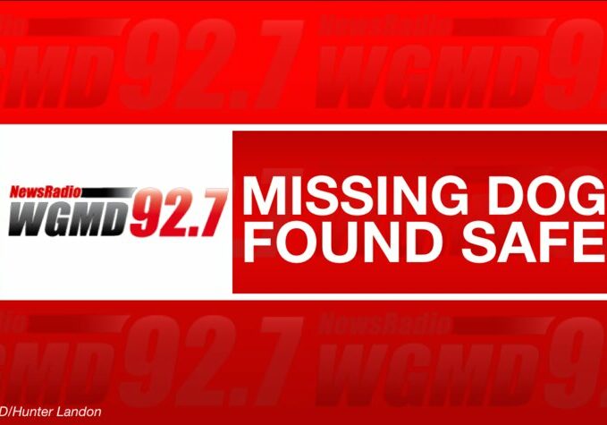 Missing Dog Found Safe