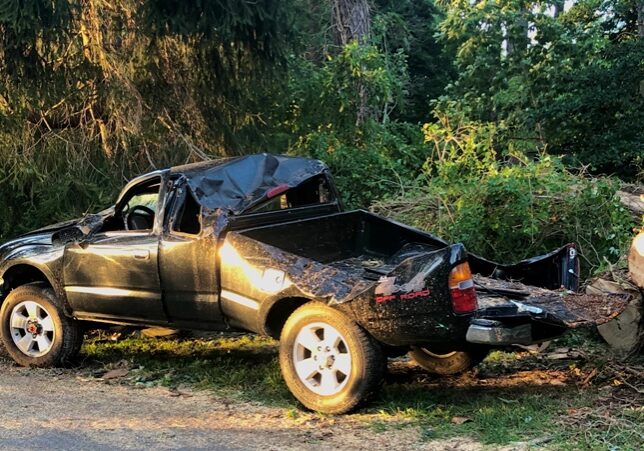 Fortunately, nobody was injured when a huge tree smashed this pickup truck on Dodds Lane in Henlopen Acres.  It had been parked on the grounds of the Indian and Pioneer Cemetery. Image courtesy Evan Stoddard.