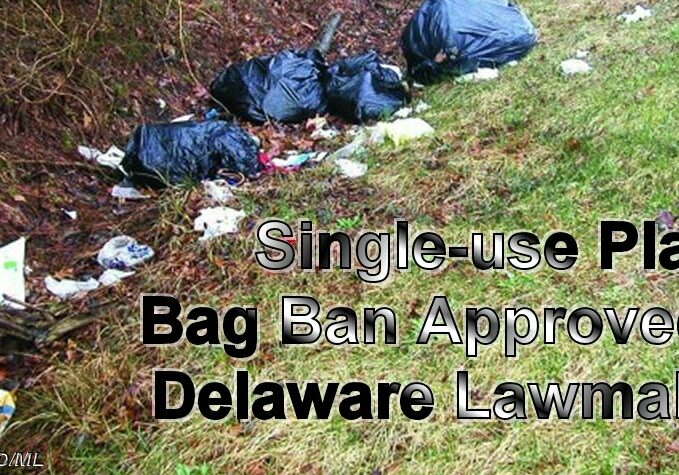 SingleUsePlasticBagBan