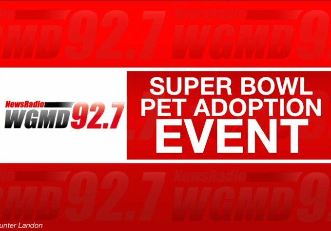 Super Bowl Pet Adoption