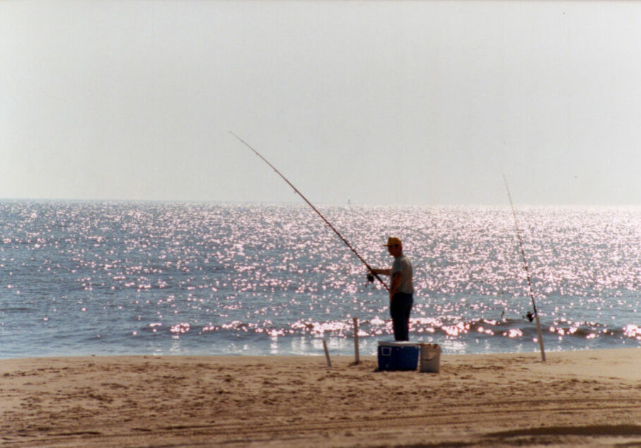 Surf Fishing