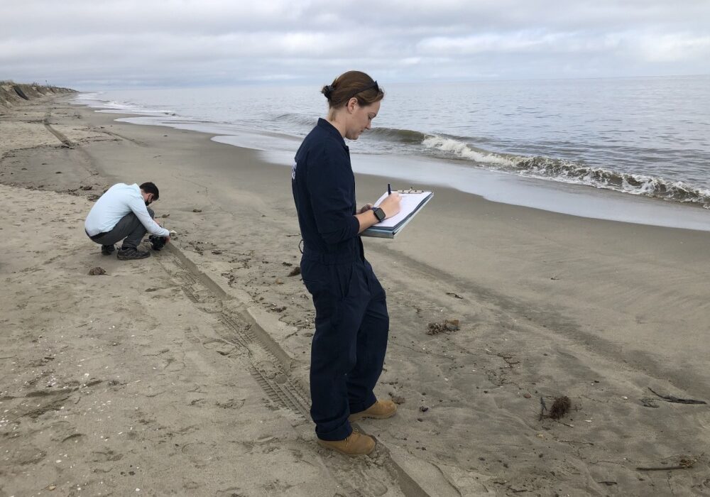 Petty Officer 3rd Class Danielle Nelson, a marine science technician at Coast Guard Marine Safety Detachment Lewes in Lewes, Del., tracks cleanup efforts of oil patties that washed ashore on Broadkill Beach, Delaware, Oct. 20, 2020. The Coast Guard, Delaware Department of Natural Resources and Environmental Control are responding to, and overseeing the cleanup. (U.S. Coast Guard photo by Chief Petty Officer Nicholas Fegley/Released)