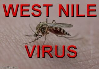 WestNileVirus-skeeter