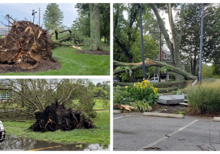 Storm damage at Stango Park in Lewes. (Alison Kirk/City of Lewes)