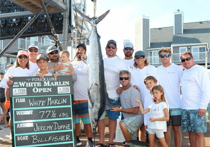 77.5-pound White Marlin caught Friday - photo courtesy of the White Marlin Open