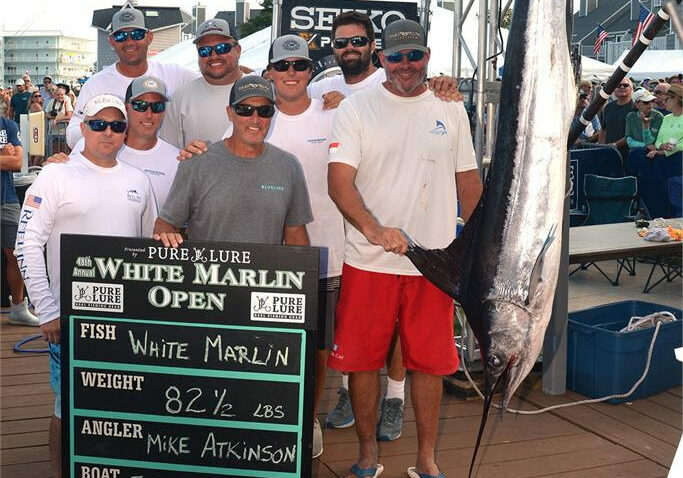 photo courtesy of White Marlin Open