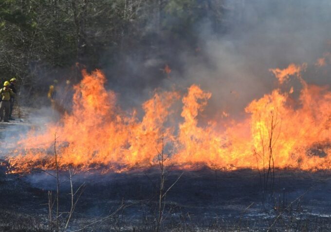 2018 wildfires in DE